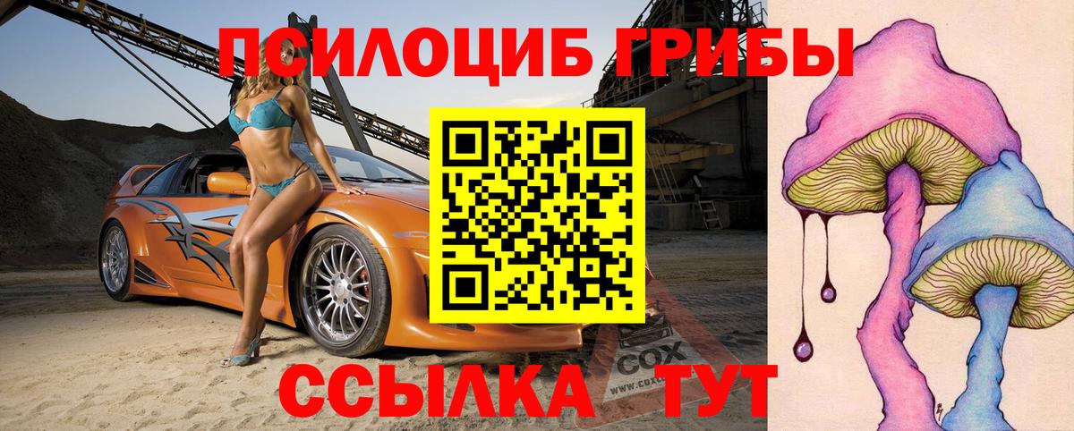 Осинники  Галлюциногенные грибы прущие грибы  Вход с VPN 